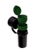 The Keeper™ By Hemper - Olde Smoke Shop
