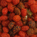 Chilli Bomba Spicy Gushers Munchies 8oz - Olde Smoke Shop